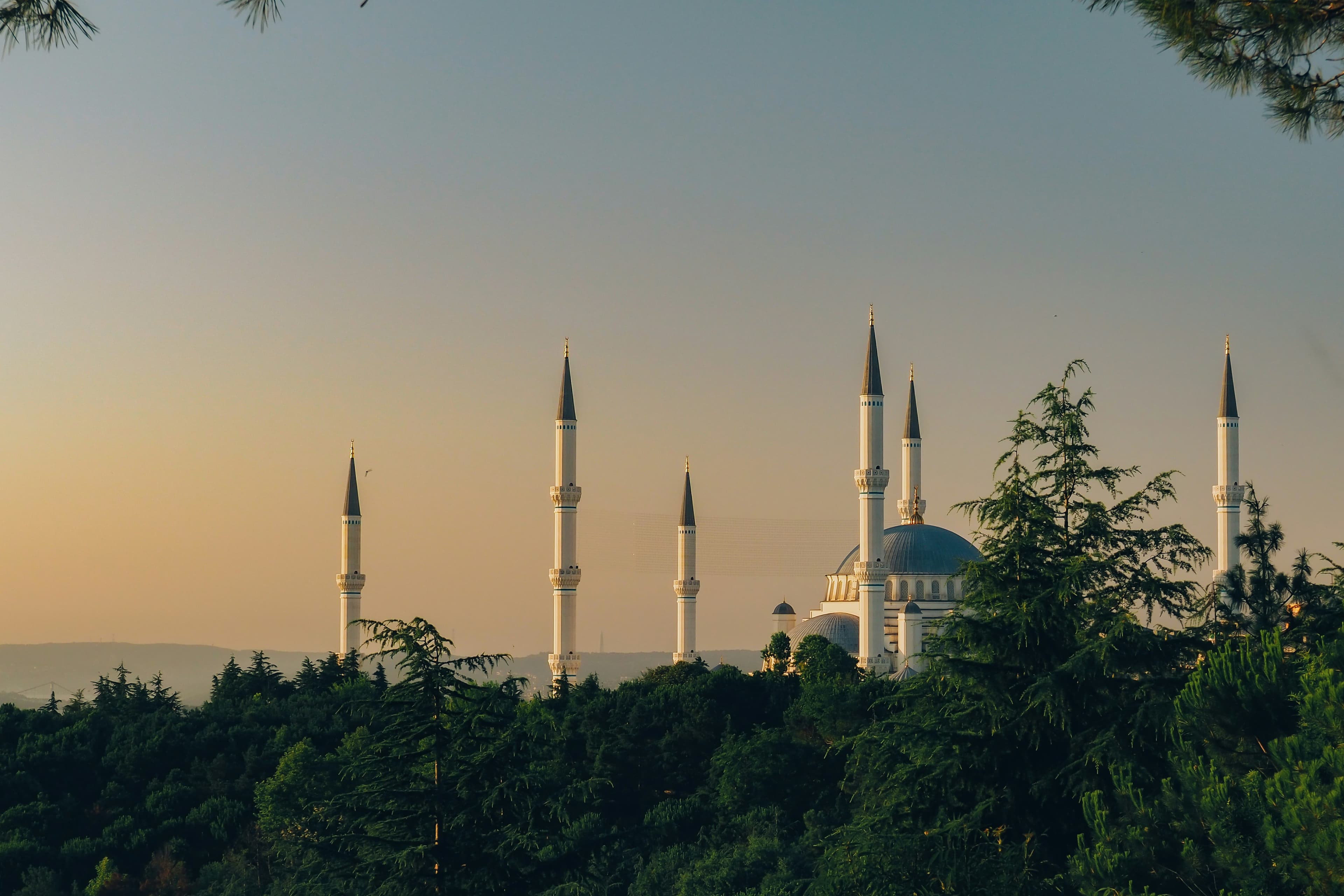 Istanbul — where Buji currently operates
